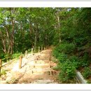 조령산자연휴양림 이미지