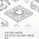 신입 연봉 4,700만원, 광교 반도체 기업 큐알티 채용 정보 총정리