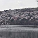 봄나들이 미술관투어 이미지