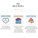 마포 요미독앤캣 강아지분양 고양이분양 이미지