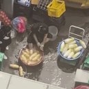 인족발집 이미지