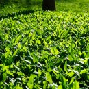 수당농장 이미지