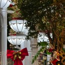 유실목장 | [용인 포레스트 아웃팅스 크리스마스] 연말 감성 가득한 대형 트리 카페 방문기🎄 아기랑 가기 좋은 곳