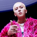 쏘아 이미지