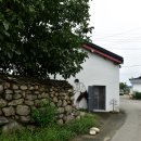 돌담 이미지