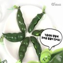 글로비다 이미지