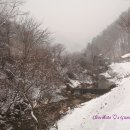 자작 캠핑장 이미지