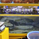 수암횟집 이미지