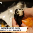 생생김밥 - 포항시 북구 법원로 109 | 생생김밥
