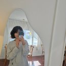 몽 듀 로투스(Mont du Lotus) | 부산 연산동 카페 몽듀로투스 | 고양이 있는 디저트 맛집 후기