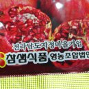 법인참샘 이미지