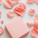 숭례초등학교 이미지