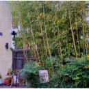 노송세차장 이미지