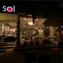 CAFE 솔