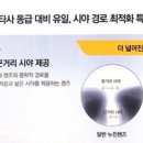 안경공장&렌즈미 이미지