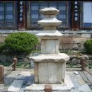 선근도