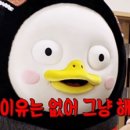 남동116 네이버블로그