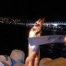 해수피아 이미지