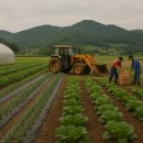 두현농장 이미지