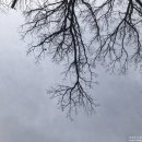 교산저수지 이미지