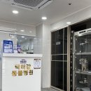 닥터팬더 동물병원 | 울산 동물병원 추천 닥터강 동물병원 방문 후기
