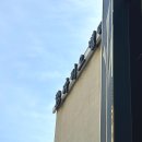 w-33 | W.33 안양웨딩홀 파티오벨라 본식 하객후기