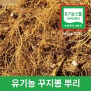 새만금유기농꾸지뽕 이미지