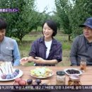 두승한우농장 | 6시내고향 밀양 서양자두 프룬 파는 곳 농장 어디?