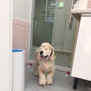 도톨그루밍 이미지