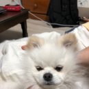 박*산 이미지