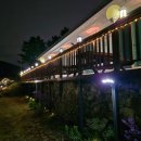 서편제 | 지금청산도에서는 ! 노란 봄빛 따라 떠난 청산도 여행 &amp; 서편제 근처 펜션 후기