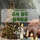 파란목장 | 🌿 [오밀리 여행기] 충북 충주 활옥동굴 — 신비로운 겨울 동굴 속으로 아이와 가볼 만한 곳