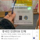 중국인 인센티브 단체 투어 트립히어로 단독 진행 후기