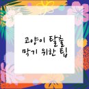 내포동물병원 이미지