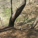 아영면 아곡마을 이미지