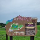 정권목장 이미지