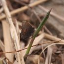 마지초등학교 이미지