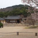 윤증묘소 이미지