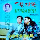 노송자