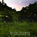 글씨여행 캘리그라피(야간) 투어코리아