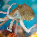 이원식당,이원수산 이미지