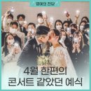 [명예의 전당] 4월 더빅토리아웨딩 한편의 콘서트 같았던 예식 💍