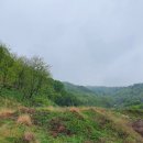 서신농협주유소 이미지