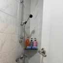 보니스테이 이미지