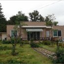 옹진농업협동조합 연평지점 이미지