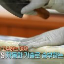 마당반찬