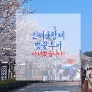 진해군항제 벚꽃투어 무사히 마쳤습니다!