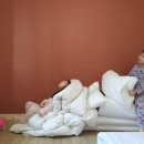 부여자온대펜션 | 백제역사유적지구 부여 펜션 추천, 백마강변 부여자온대펜션