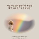 아마레펫 네이버블로그