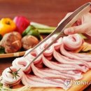 비전크래프트
